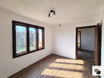 large1743062913