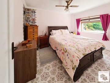 large1743514193