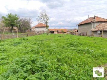 large1744179425