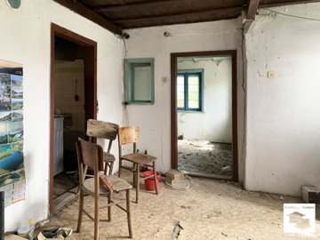 large1744707411