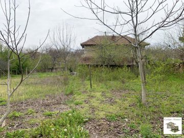 large1744707381
