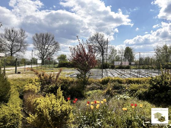 Image No.13-2 Bed House for sale