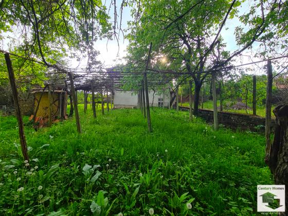 Image No.20-4 Bed House for sale