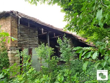 large1748528187