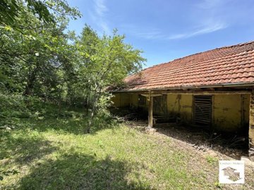 large1749472161