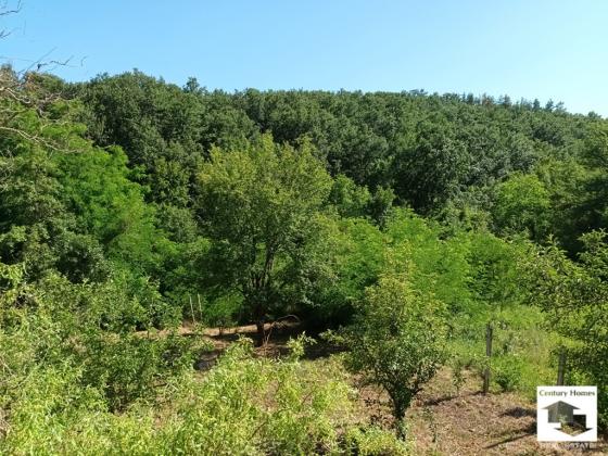 Image No.5-Maison de 1 chambre à vendre à Veliko Tarnovo