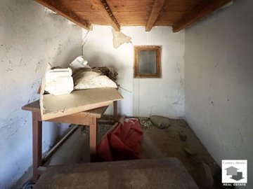 large1750840808