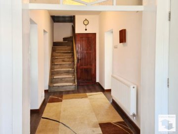 large1750834527