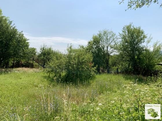 Image No.15-Maison de 3 chambres à vendre à Elena