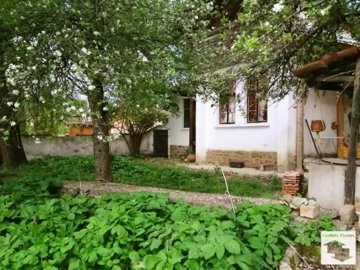 large1752502634