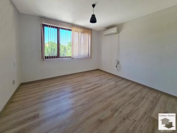 large1753277540