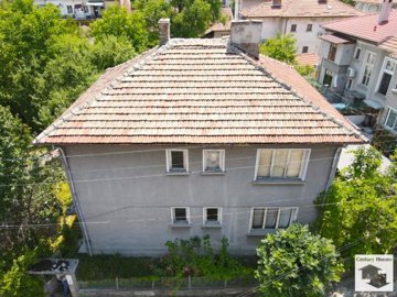 large1753436526