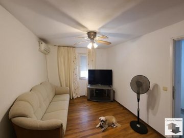 large1755182294
