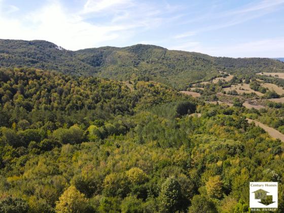 Image No.25-Maison de 2 chambres à vendre à Elena