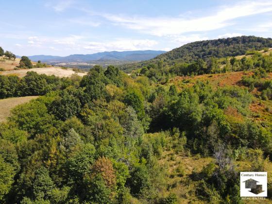 Image No.26-Maison de 2 chambres à vendre à Elena