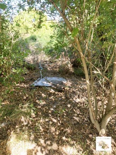 Image No.19-3 Bed House for sale