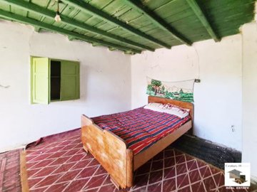large1758808031