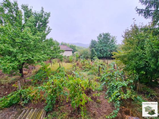 Image No.20-Maison de 3 chambres à vendre à Pavlikeni