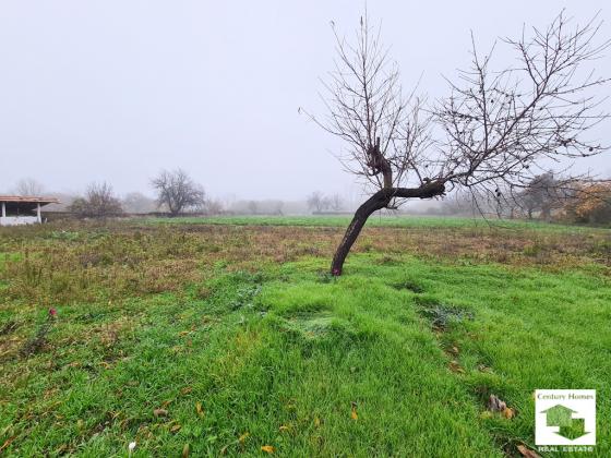 Image No.24-Maison de 4 chambres à vendre à Pavlikeni