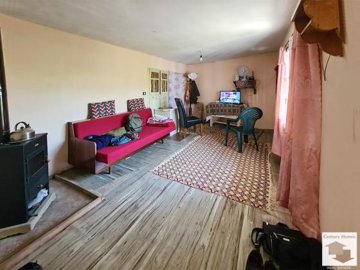 large1782809741