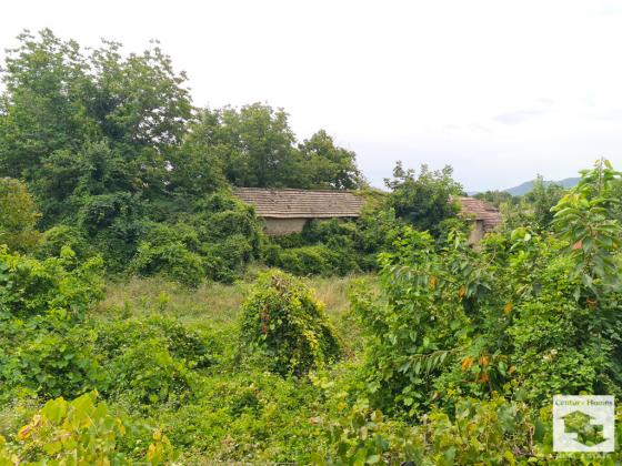 Image No.12-3 Bed House for sale