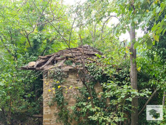 Image No.8-3 Bed House for sale