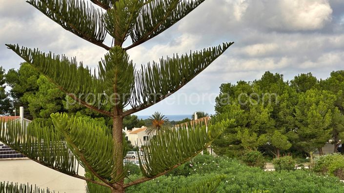 Image No.33-Villa de 4 chambres à vendre à Port D'addaya