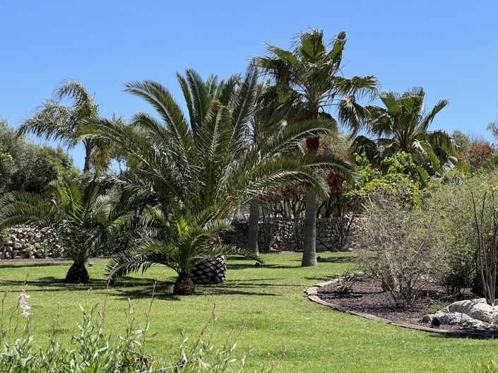 Image No.38-Villa de 4 chambres à vendre à Sant Lluis