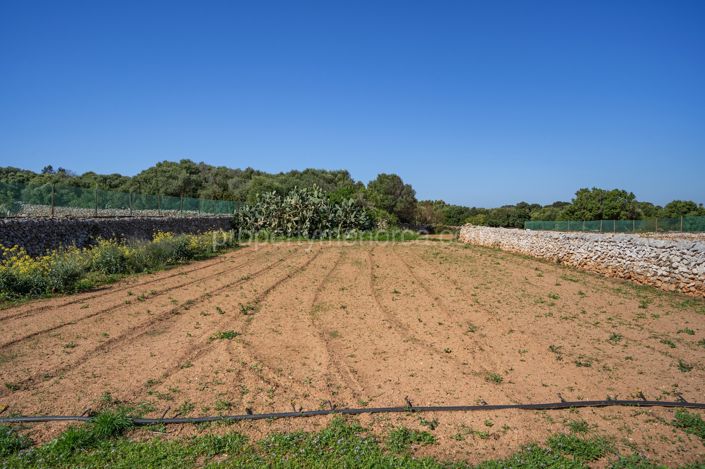 Image No.39-Villa de 5 chambres à vendre à Torret