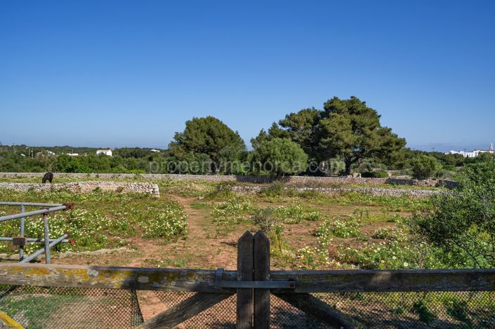 Image No.42-Villa de 5 chambres à vendre à Torret