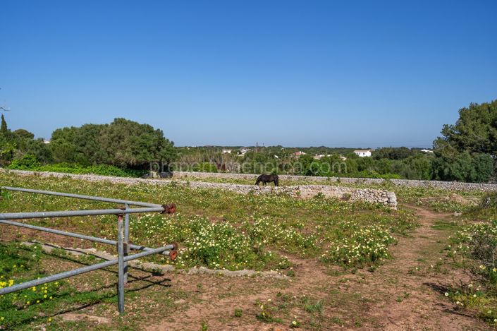 Image No.43-Villa de 5 chambres à vendre à Torret