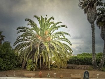 713-villa-for-sale-in-binibeca-19019-large