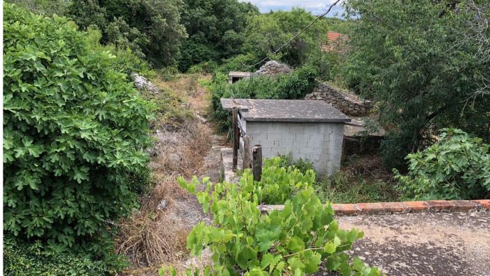 Image No.7-Maison / Villa de 4 chambres à vendre à Bogomolje