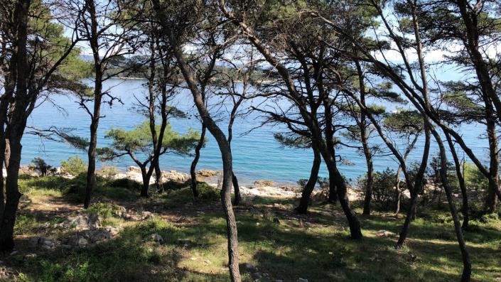 Image No.2-Appartement de 3 chambres à vendre à Jelsa