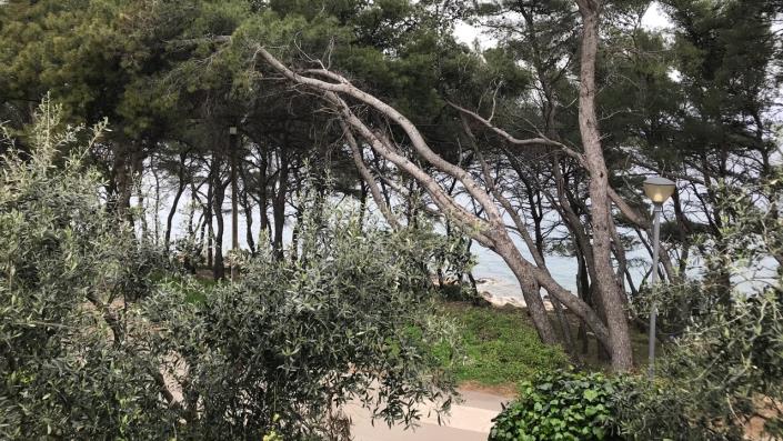 Image No.5-Appartement de 3 chambres à vendre à Jelsa