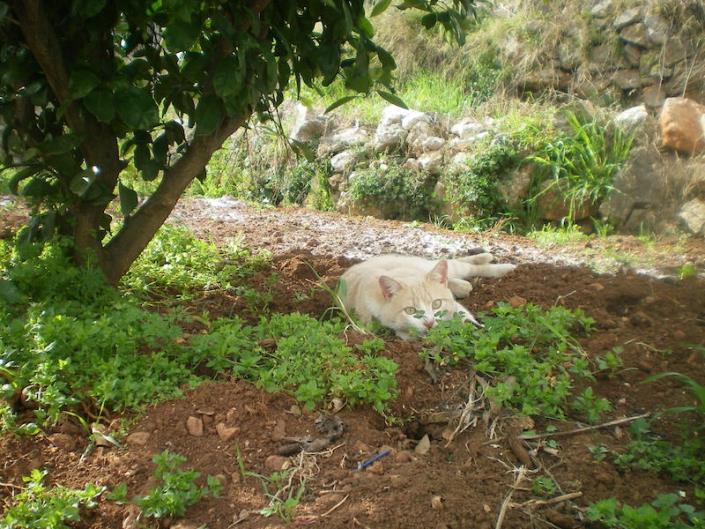 Image No.2-3 Bed House for sale