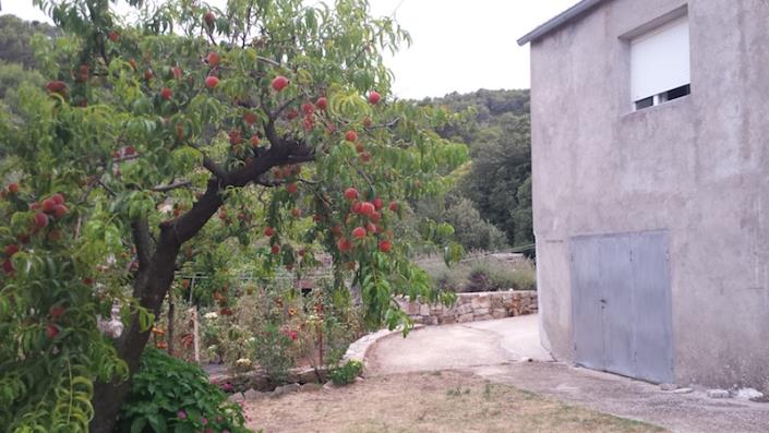 Image No.15-3 Bed House for sale