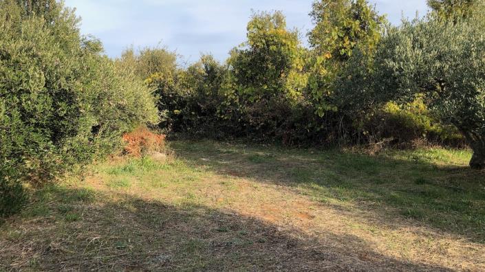 Image No.6-Terre à vendre à Dol