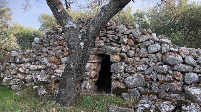 Image No.7-Terre à vendre à Dol