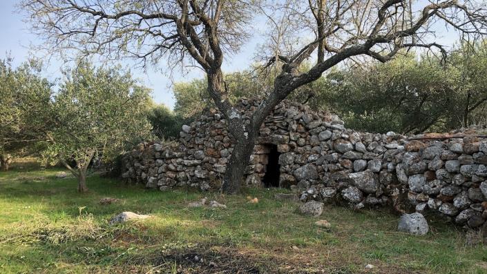 Image No.8-Terre à vendre à Dol