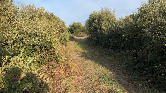 Image No.9-Terre à vendre à Dol