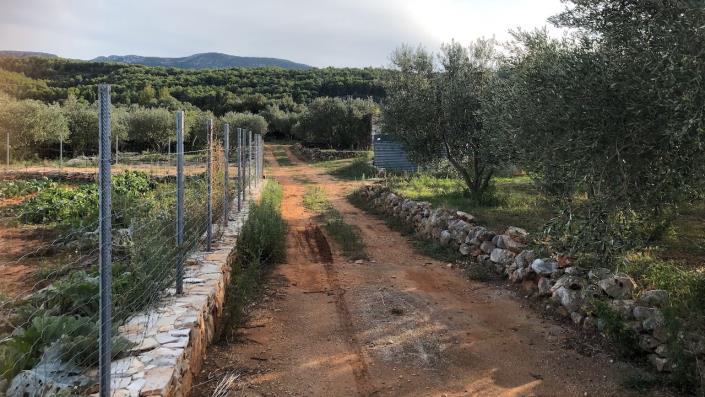 Image No.11-Terre à vendre à Dol