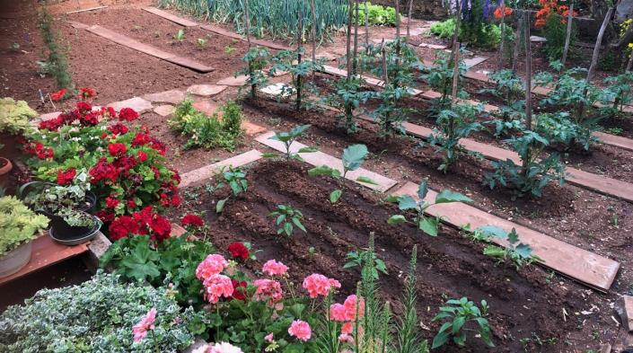 Image No.9-Maison de 3 chambres à vendre à Hvar