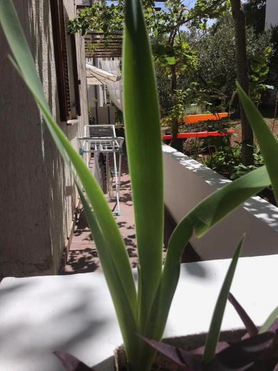 Image No.17-Appartement de 1 chambre à vendre à Vrboska