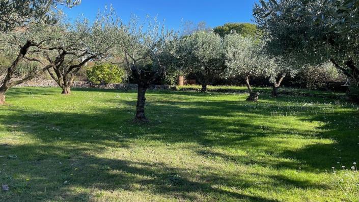 Image No.12-Maison / Villa de 14 chambres à vendre à Jelsa