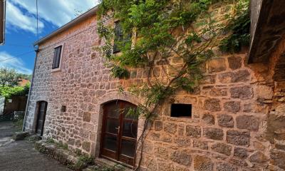 1 - Dol, House