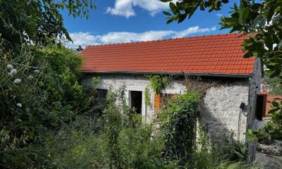 IMG_1717