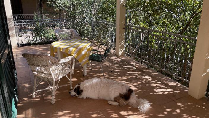 Image No.3-Maison de 2 chambres à vendre à Stari Grad