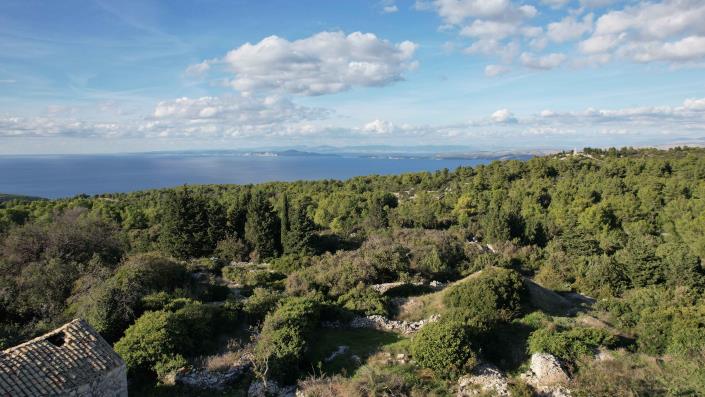 Image No.3-3 Bed Plot for sale