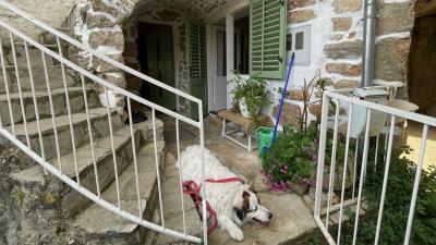 Maison de 2 chambres à vendre à Vrbanj